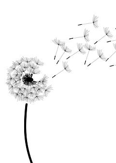 dandelion