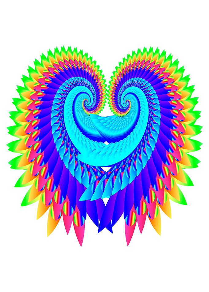Feathered Heart