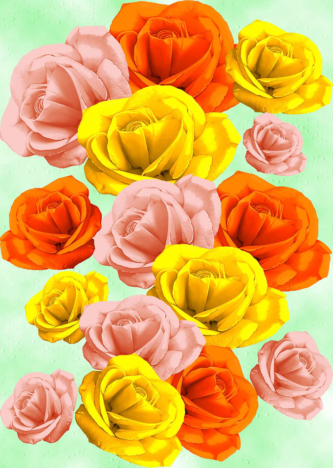 Roses Pastel Colors Floral Co