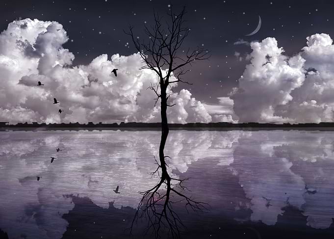 Dream land