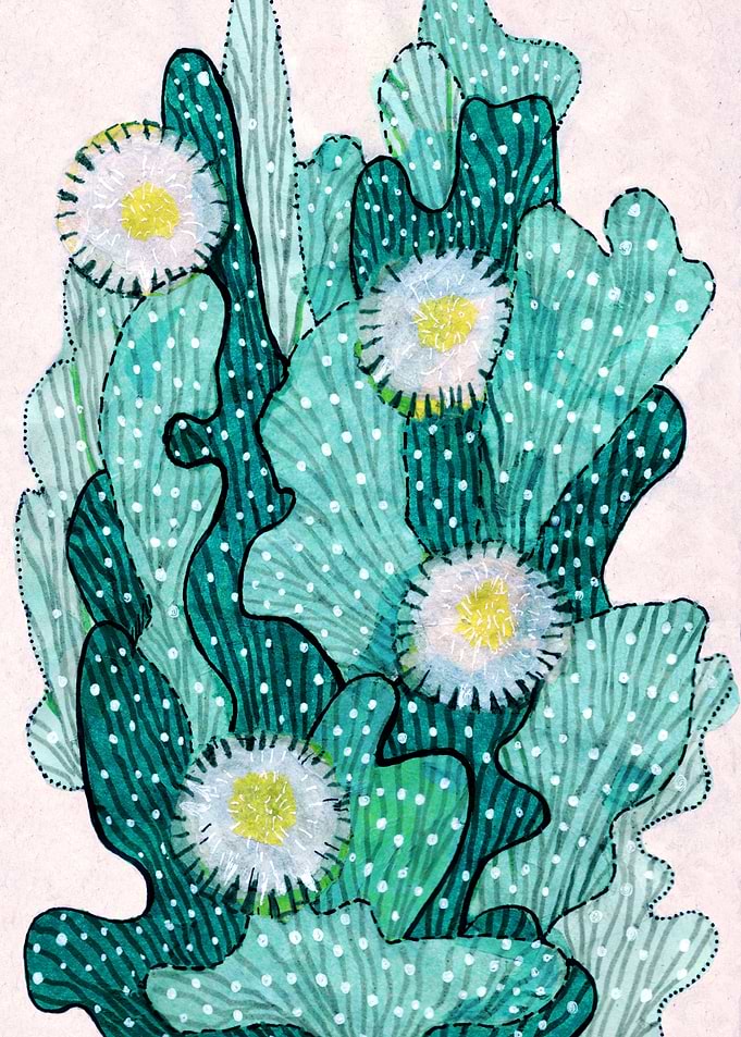 Blooming Cactus mint green