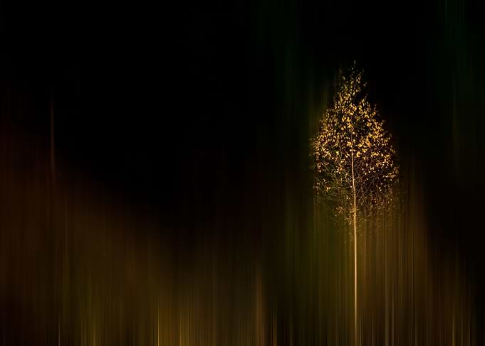 Shine in the dark