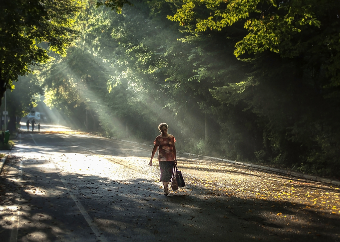 In the light