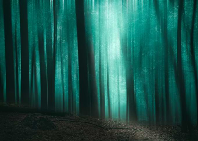 Blue night
