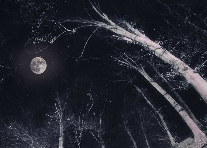 Winter nights