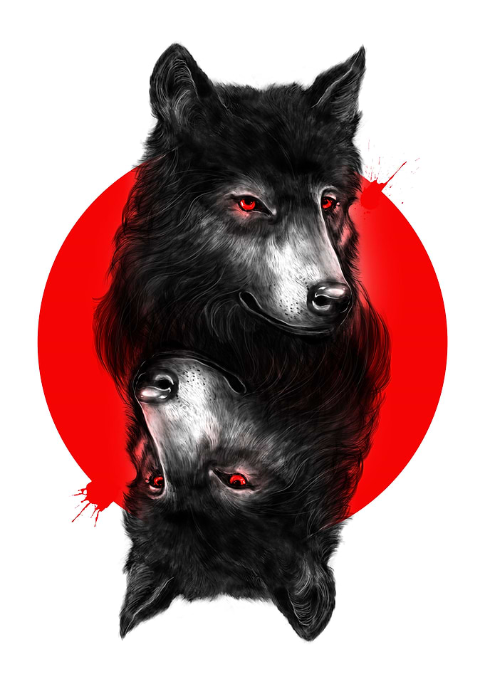 Duality