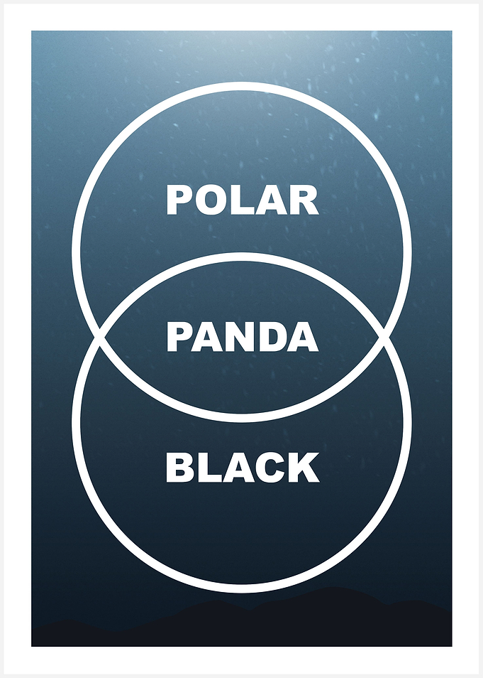 Bears