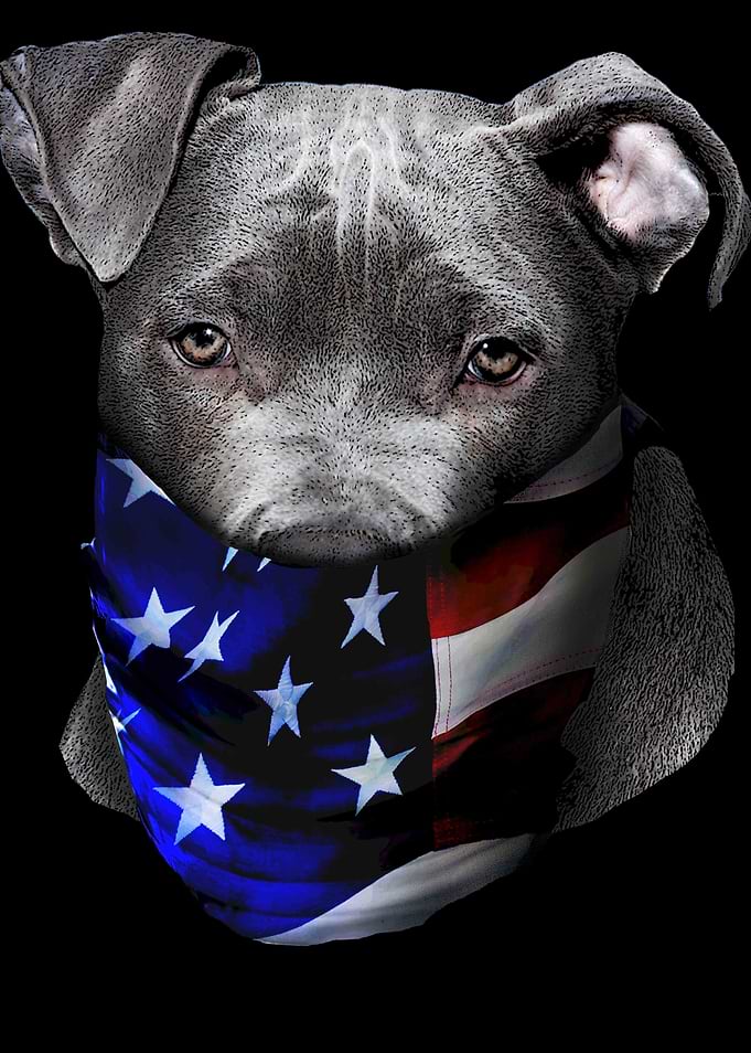 Dog American Bandana