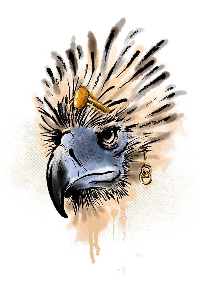 King of the South