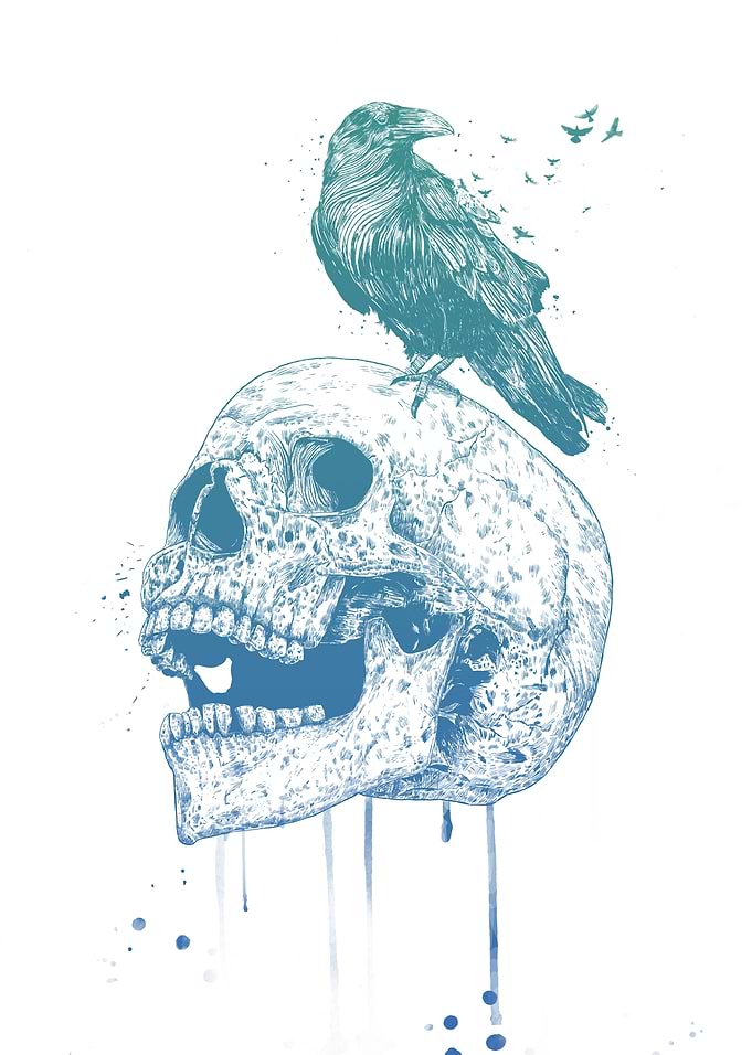 New skull