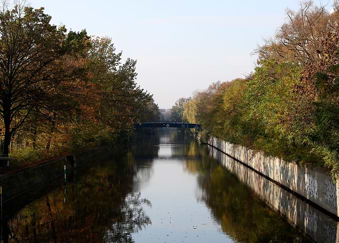 Autumn scene