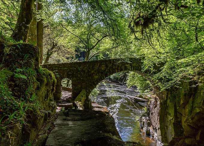 The Hermitage