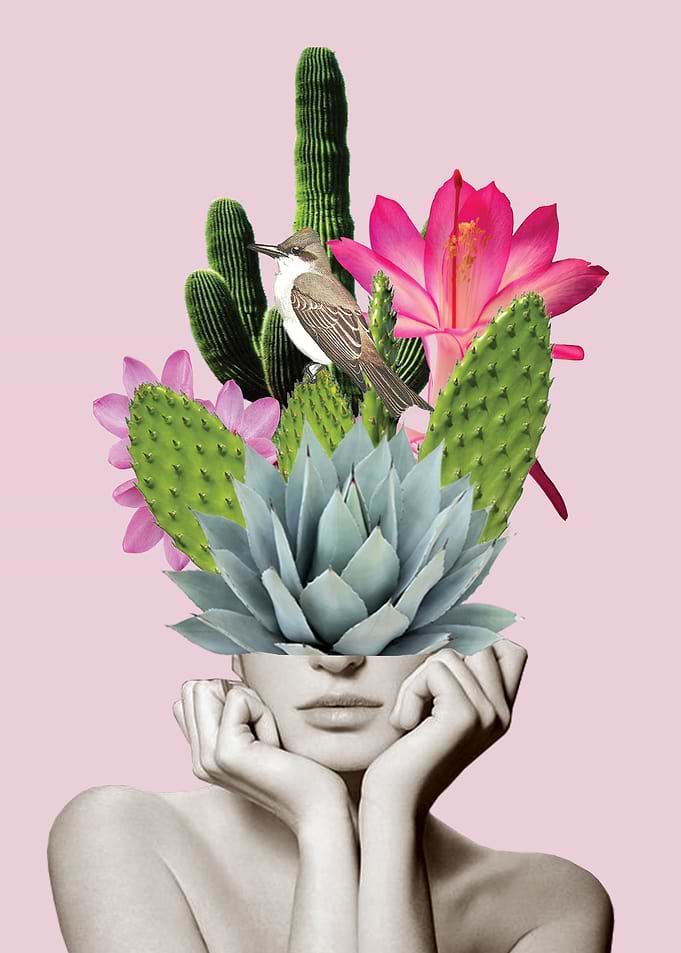 Cactus Lady