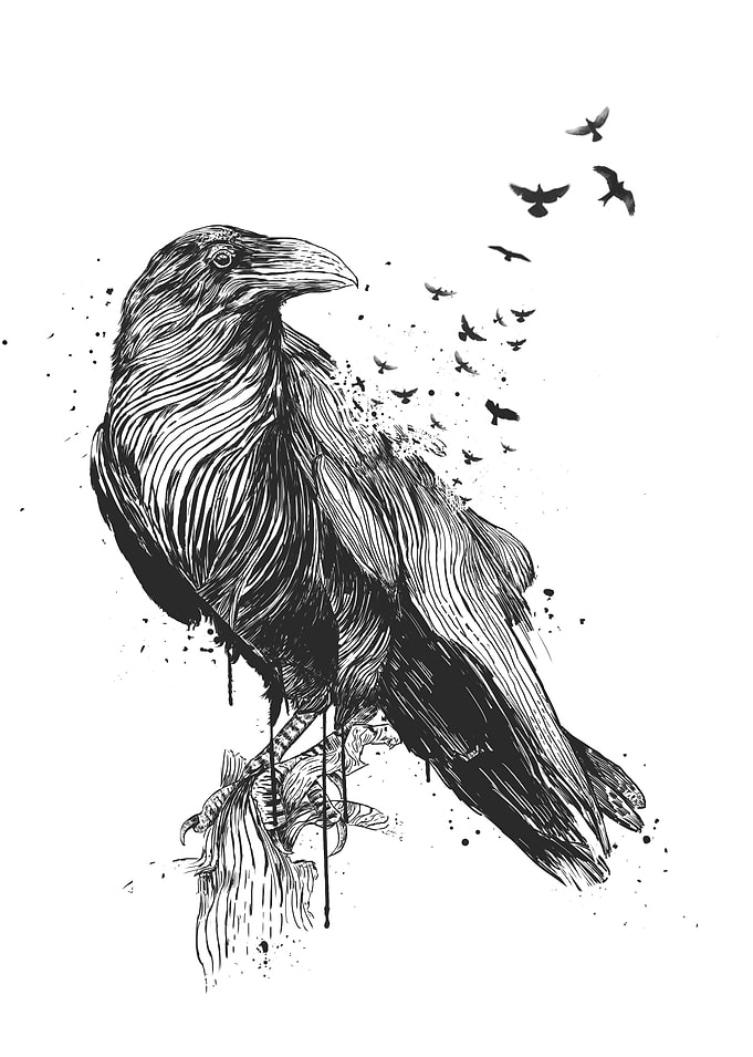 Born to be free (bw)