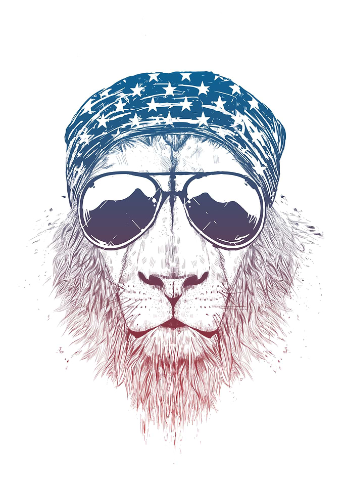 Wild lion