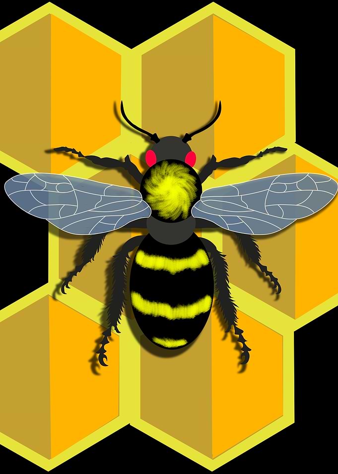 Queen Bee