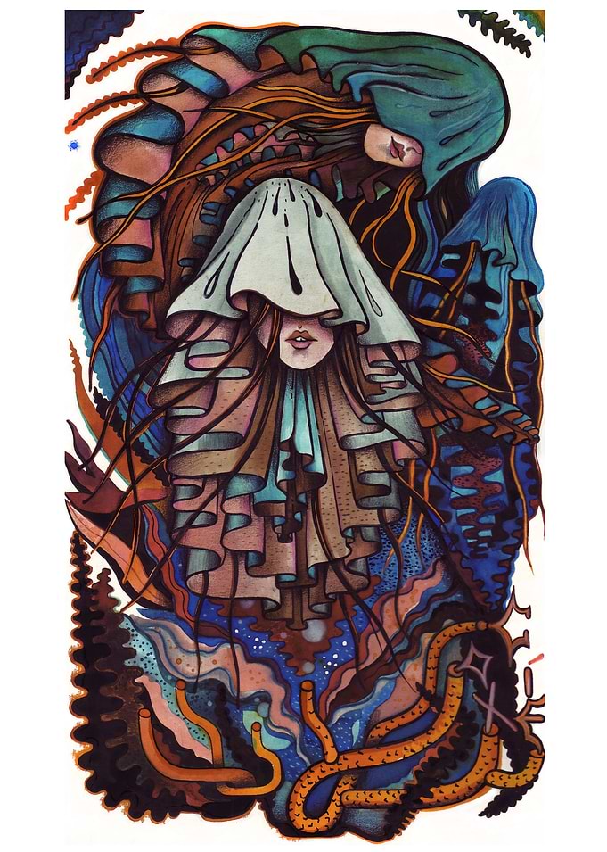 jellyfish
