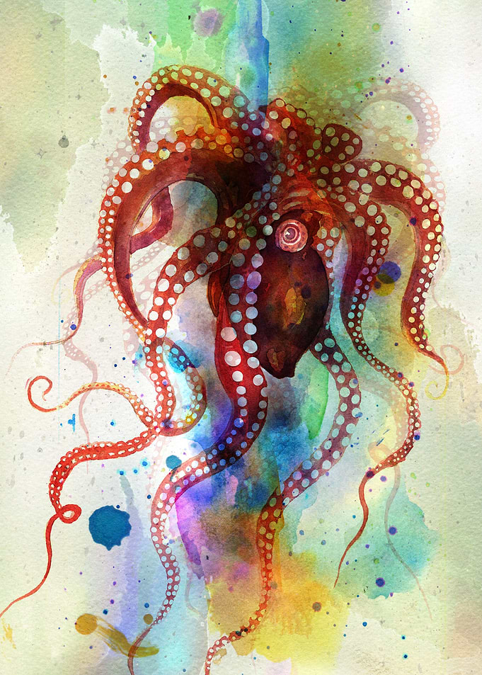 Octopus