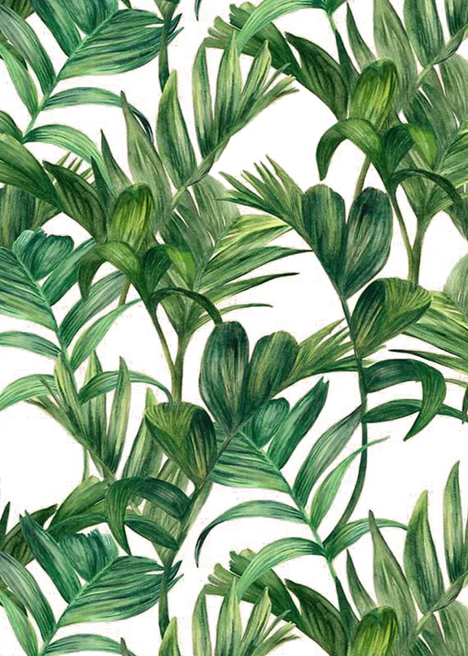 Tropical Leaves