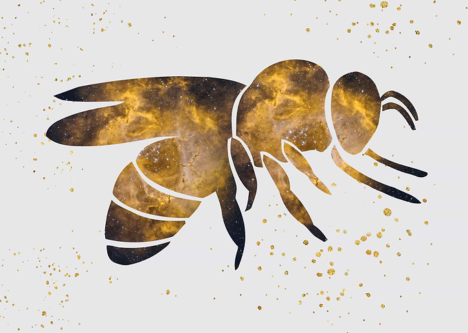 Bee nebula