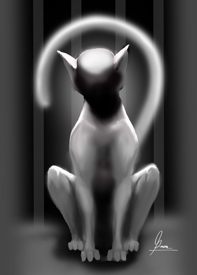 Faceless Cat