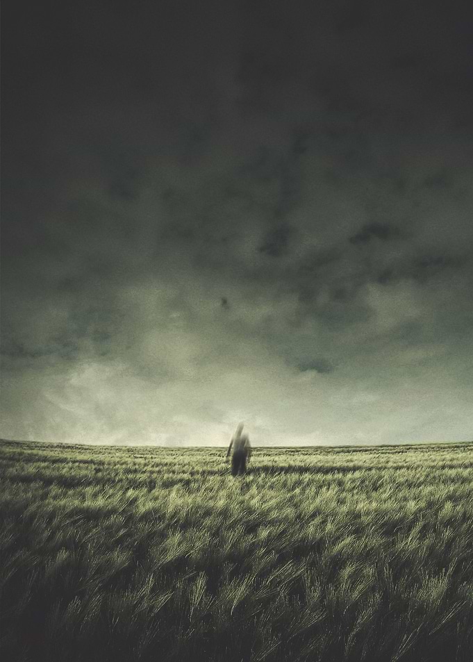 Field of the Lonely One