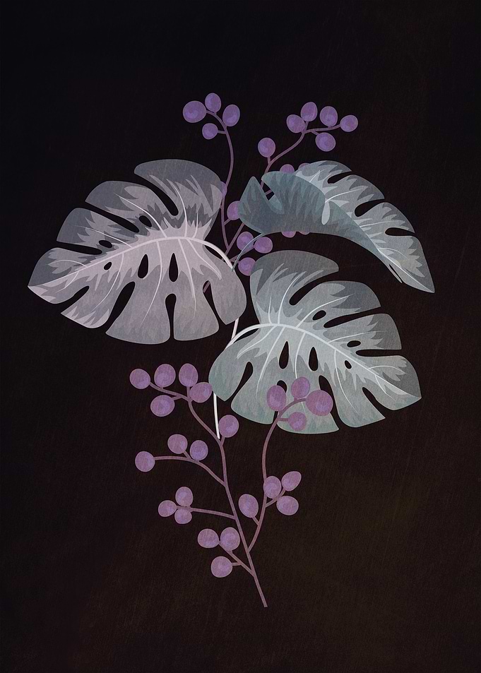 Purple Monstera