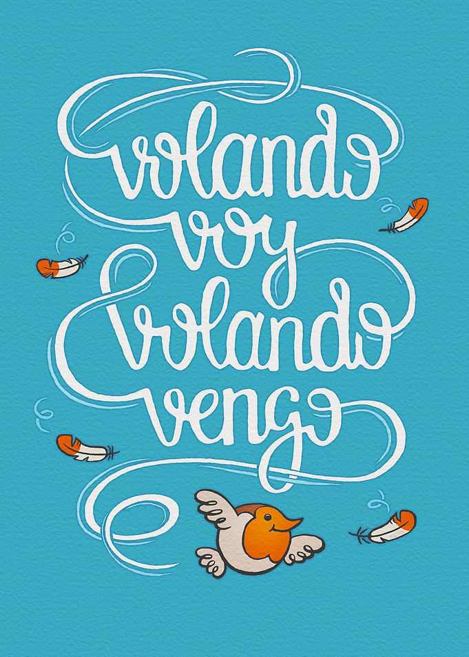Volando Voy