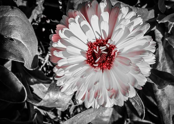 Colour is all around