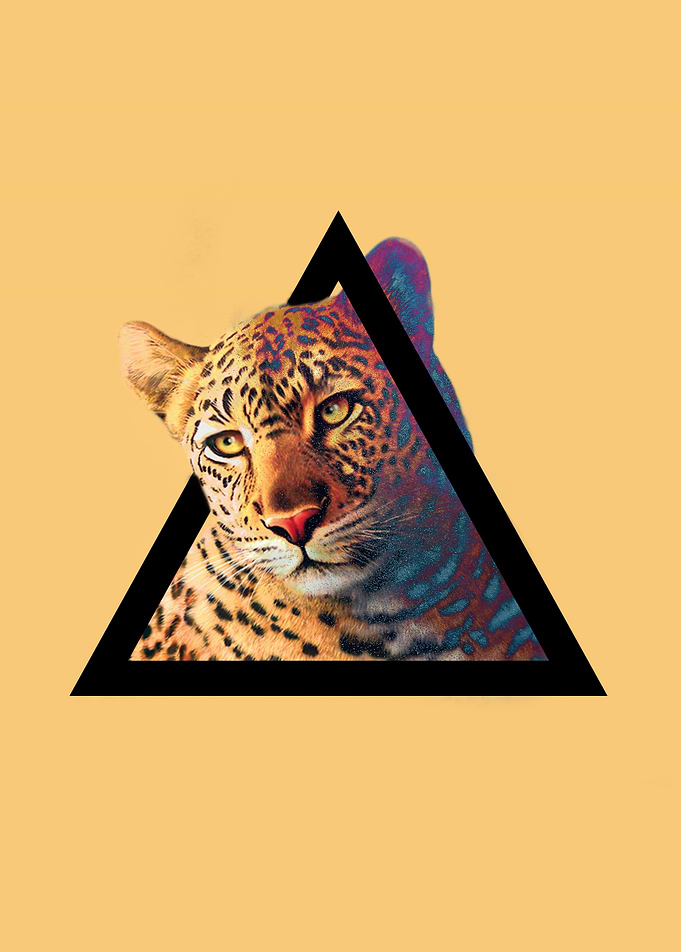 Neon Leo