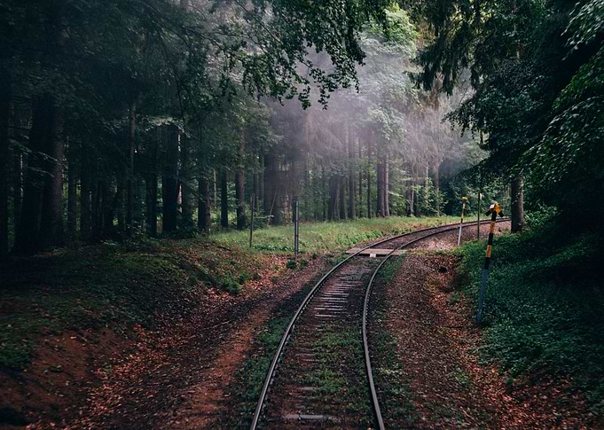 Verdant Tracks