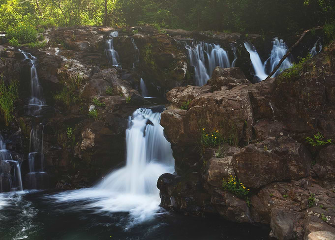 Big Tree Falls