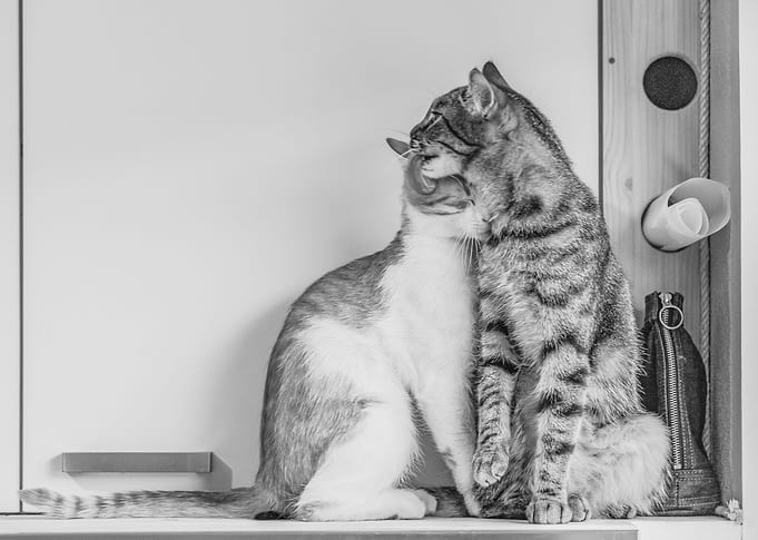 love and care