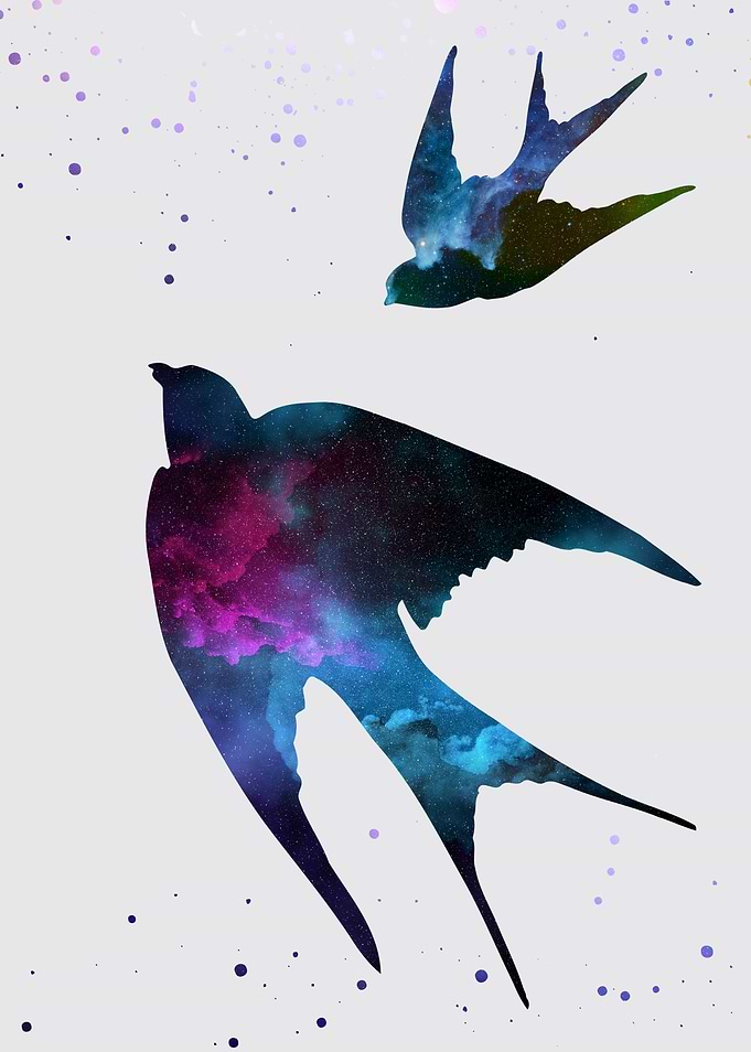 Swallows nebula