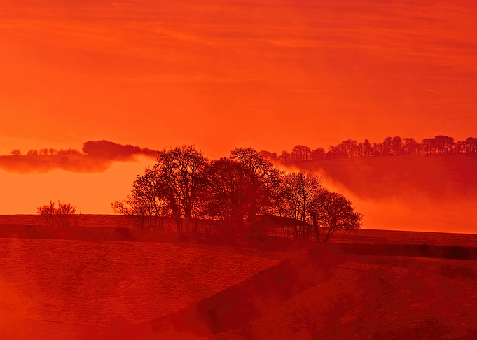Devon Fog 13