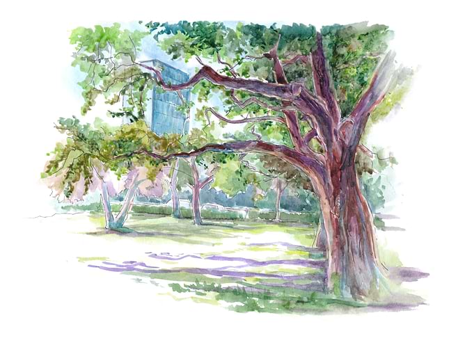 The Nature of City