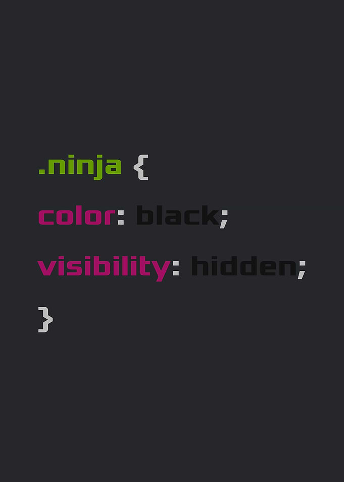 Ninja