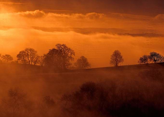 Devon Fog 12