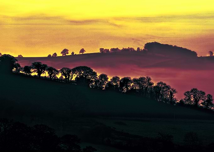 Devon Fog 17