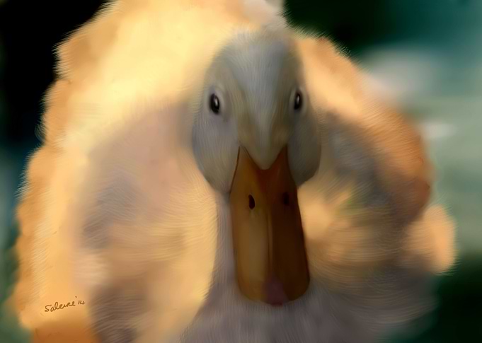 Fuzzy Duck