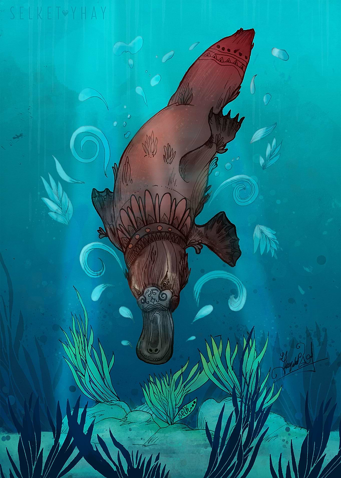 Platypus