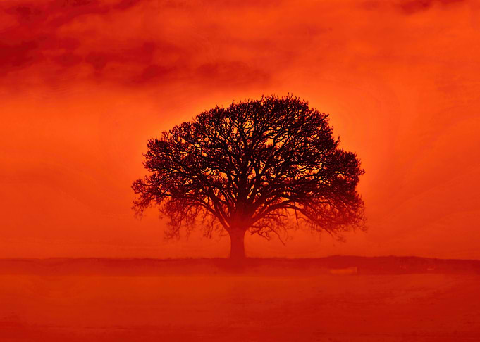 Devon Fog 7