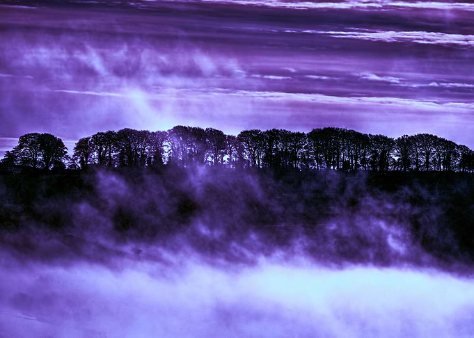 Devon Fog 14