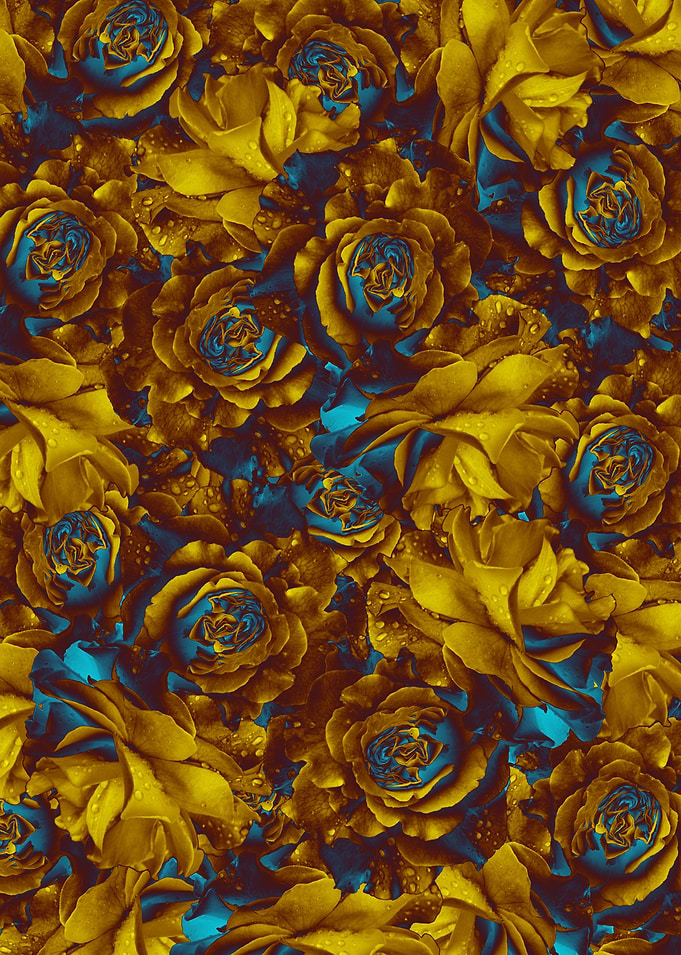 flowers 20
