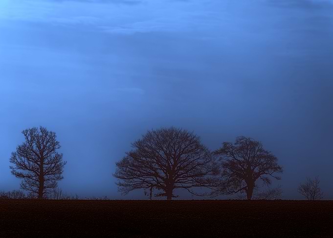 Devon Fog 9