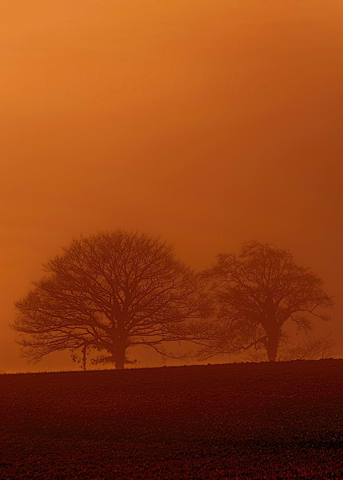 Devon Fog 5