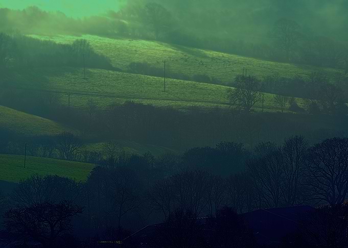 Devon Fog 16