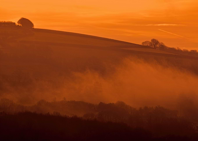 Devon Fog 18