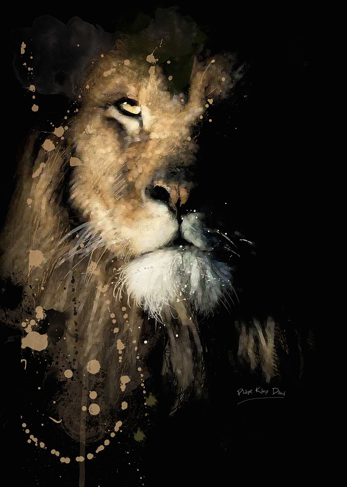 lion