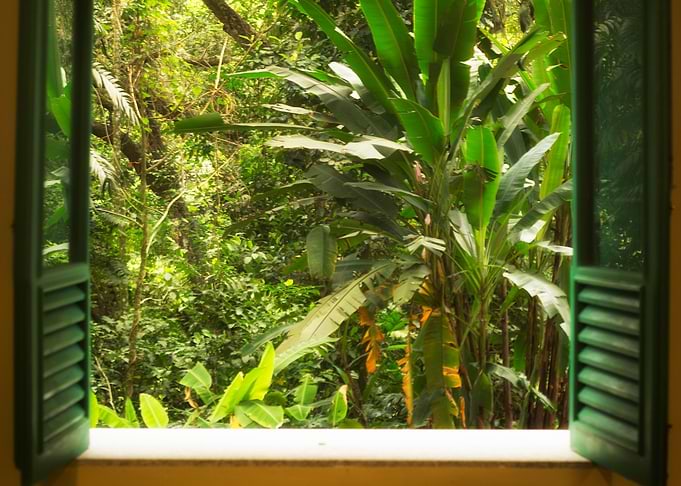 window to amazon